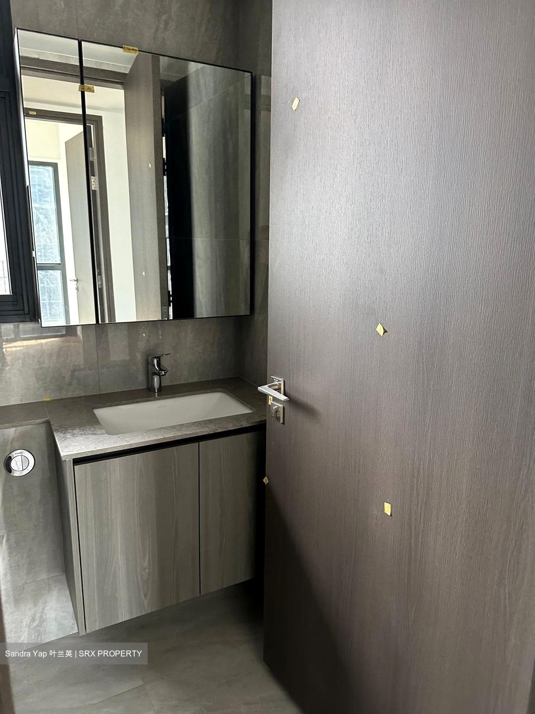 Piccadilly Grand (D8), Apartment #503655121